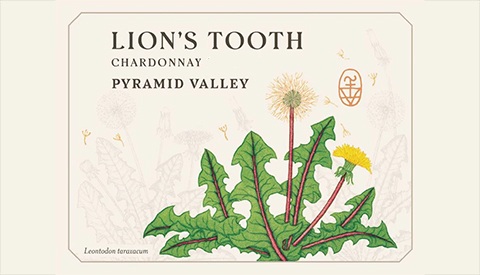 /img/offers/2466/Pyramid Card.2.jpg